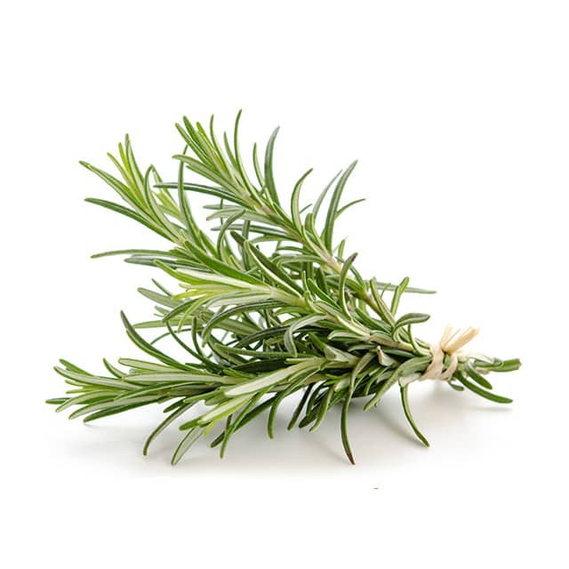 rosemary2